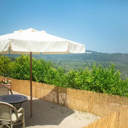 Bay View فاسيليكي